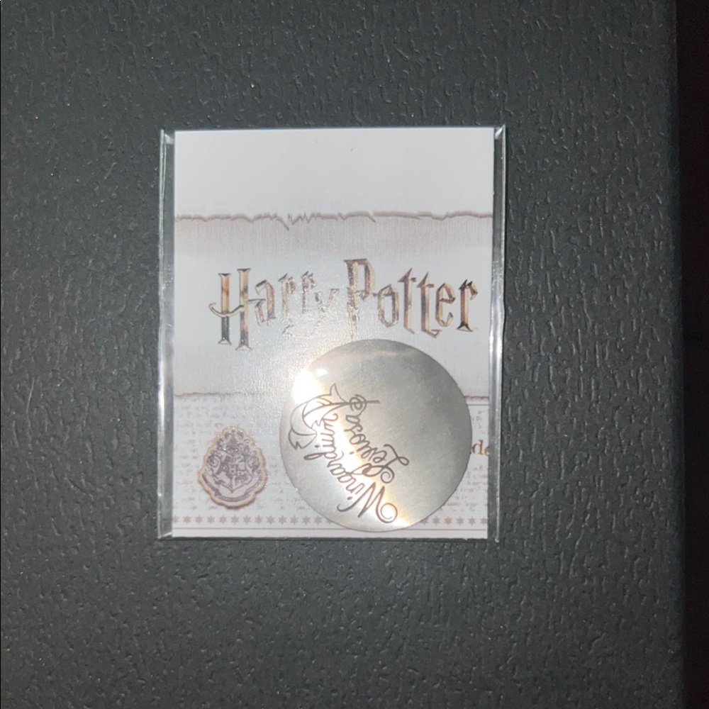 Harry Potter Silver Round Pin